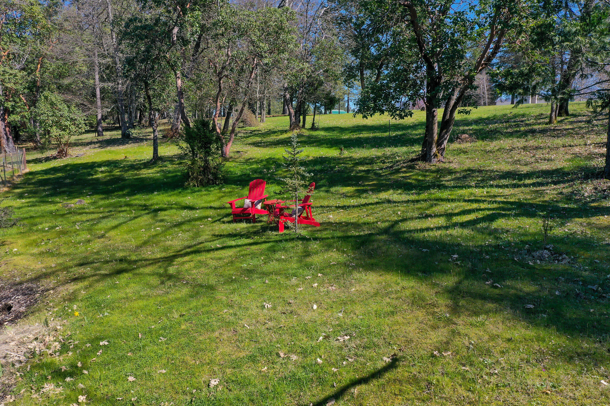 5976 New Hope Road Grants Pass, OR 97527 - Photo 50 of 76 DJI_0463