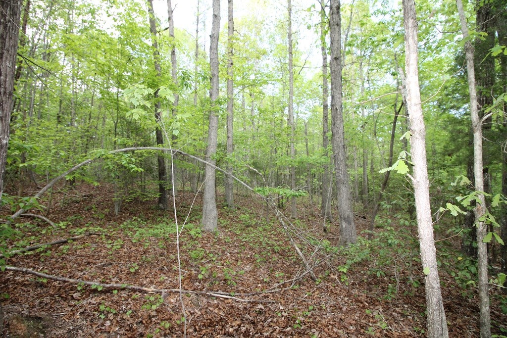 Plank Road, Unit 20C Kenbridge, VA 23944 - Photo 8 of 19 Gallery Image 8