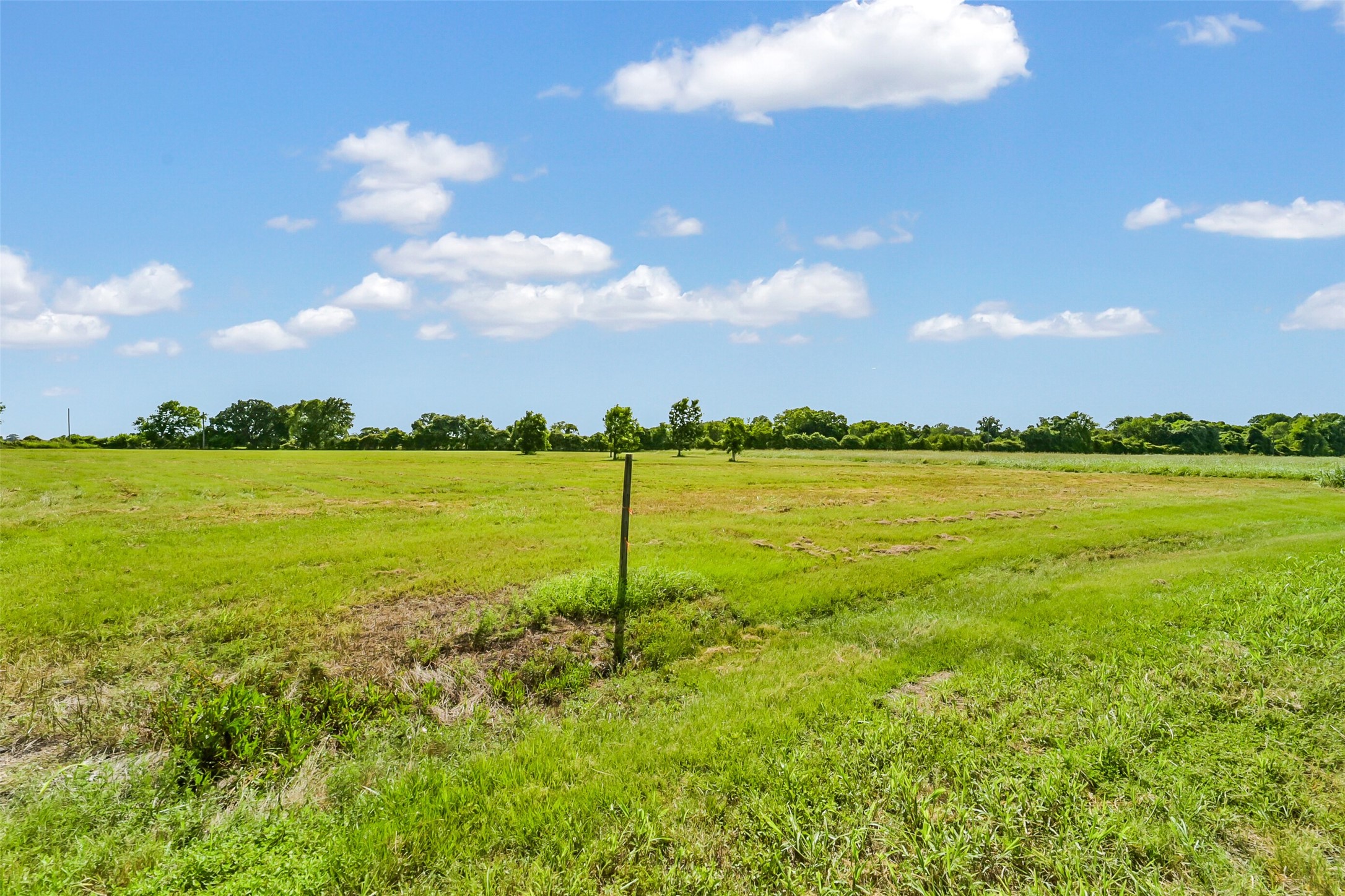 17210 Dewberry Lane Rosharon, TX 77583 - Photo 10 of 12
