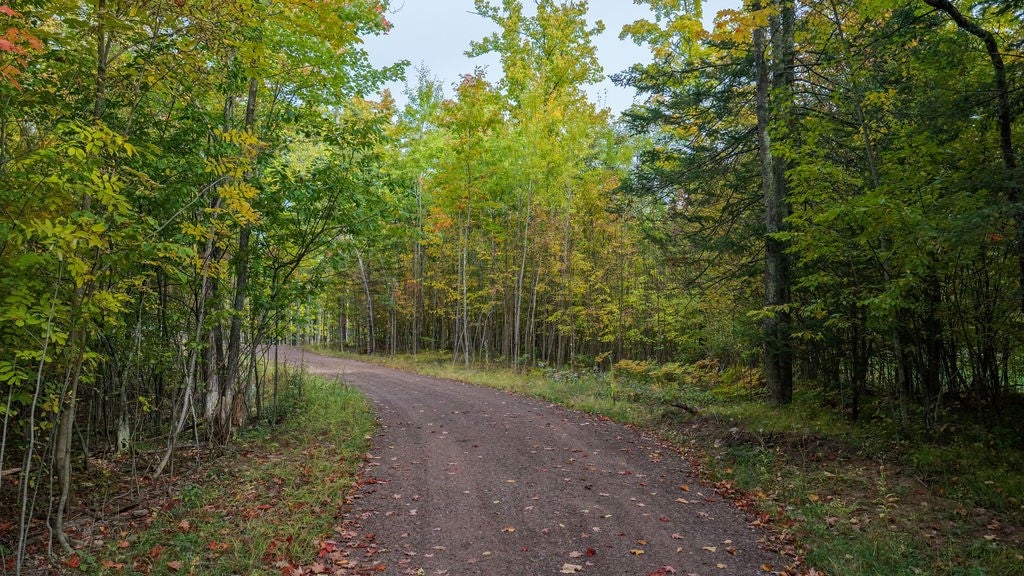 Lot 3 West Nelson Lake Road Hayward, WI 54843 - Photo 18 of 28 Gallery Image 18