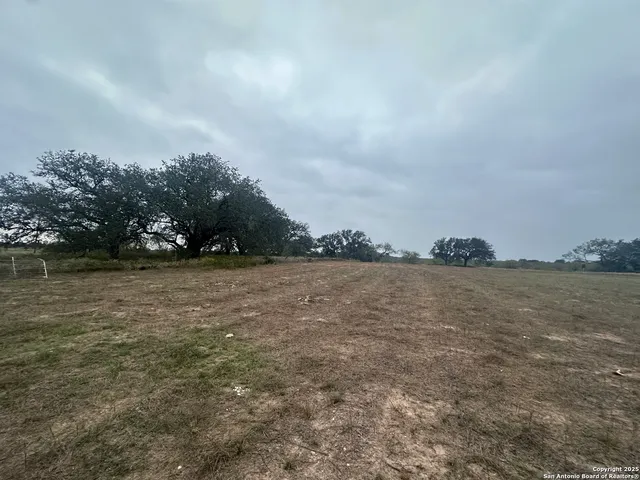a view of a lake from a yard