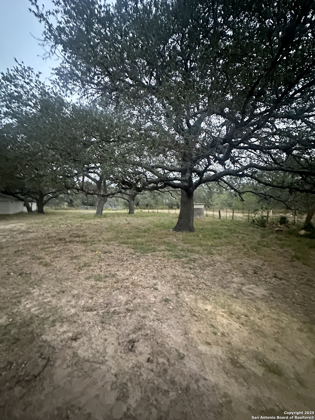 1150 County Road 765 Moore, TX 78057 - Photo 18 of 18 a backyard of a house with lots of green space