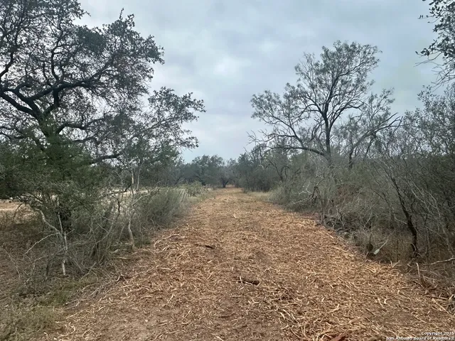 a view of a lake with lots of trees