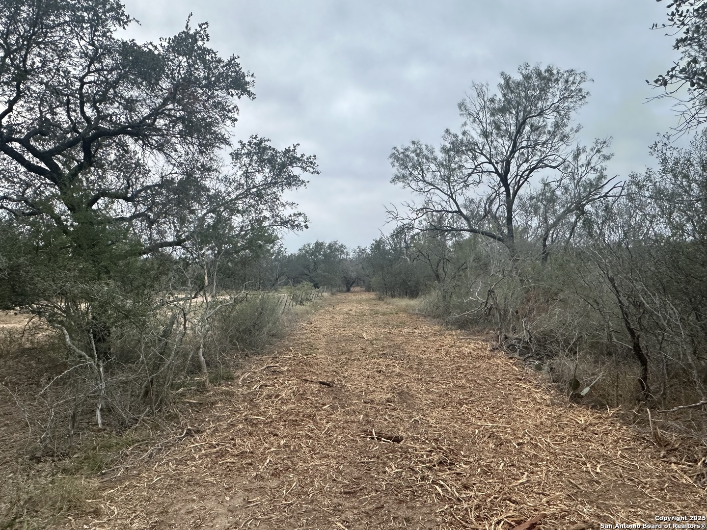 1150 County Road 765 Moore, TX 78057 - Photo 6 of 18 a view of a lake with lots of trees