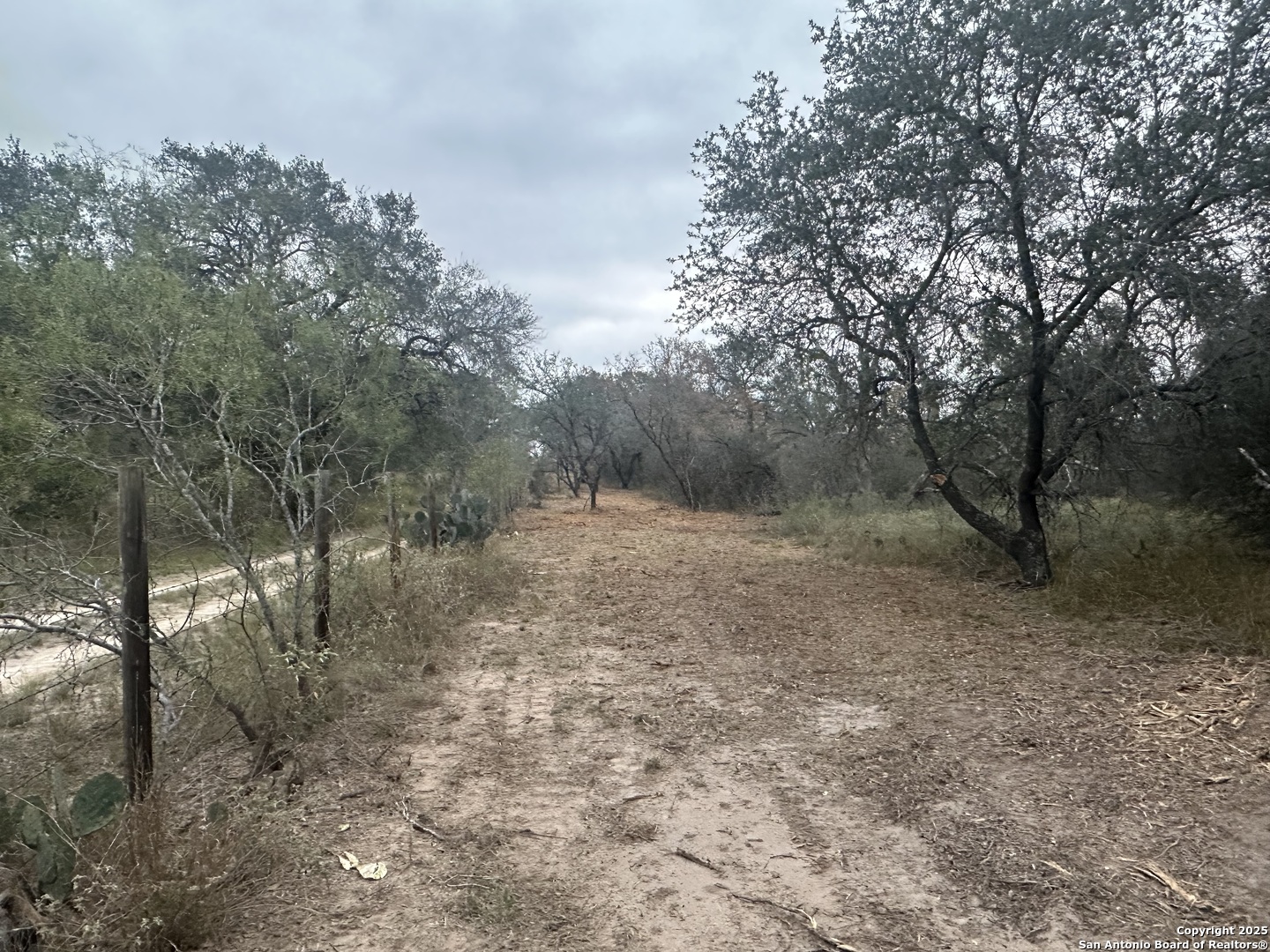 1150 County Road 765 Moore, TX 78057 - Photo 7 of 18 a view of a forest with trees in the background