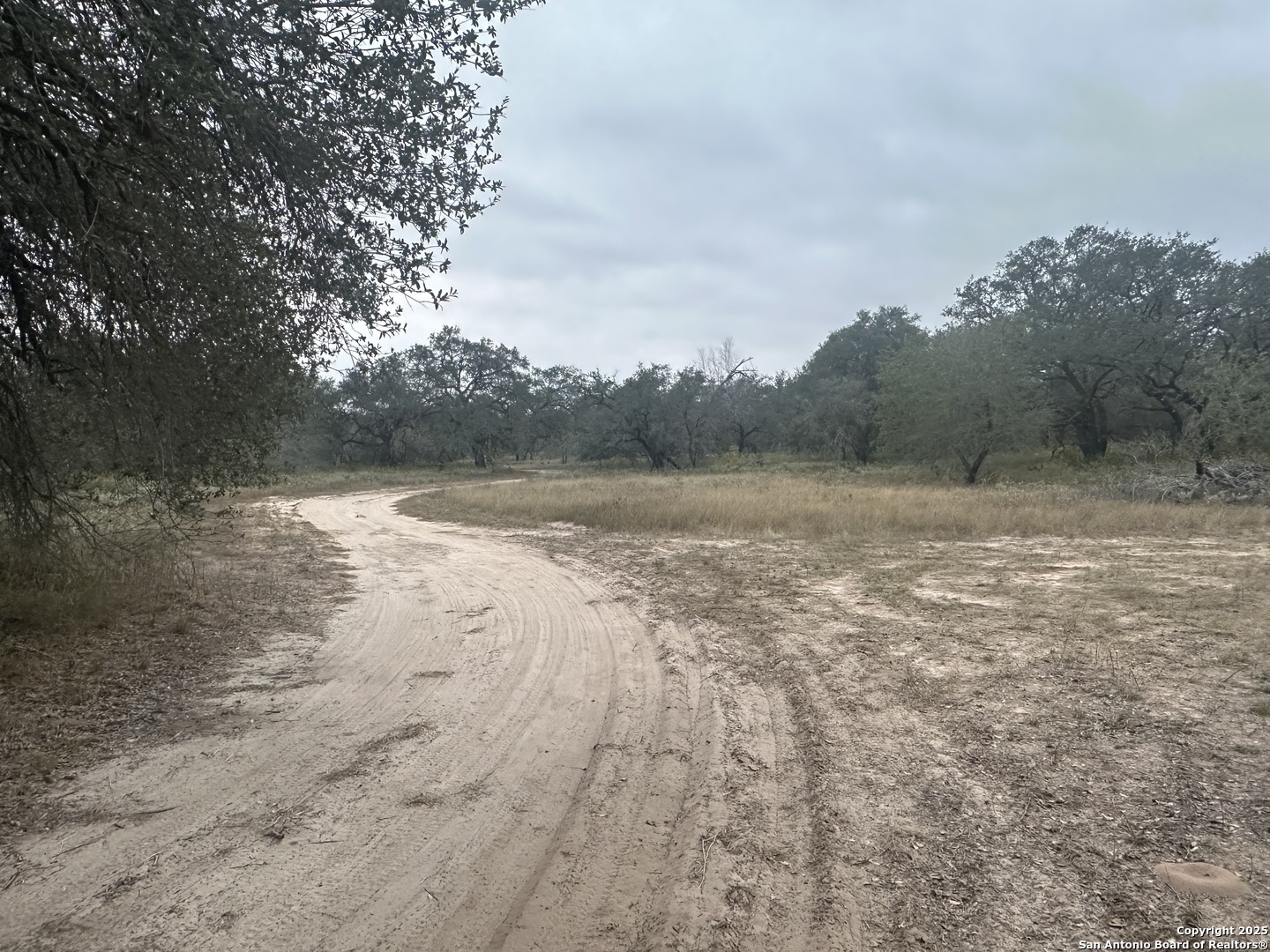 1150 County Road 765 Moore, TX 78057 - Photo 8 of 18 a view of lake