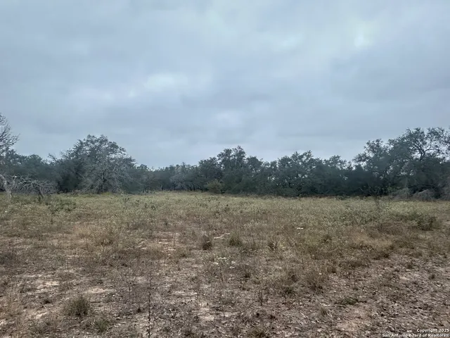 a view of a field with trees in background