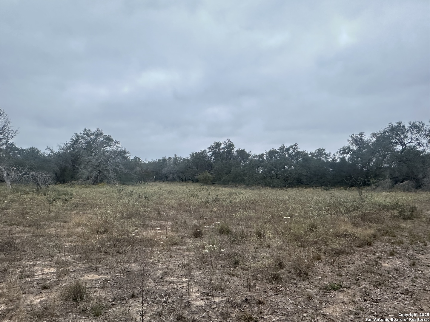 1150 County Road 765 Moore, TX 78057 - Photo 10 of 18 a view of a field with trees in background