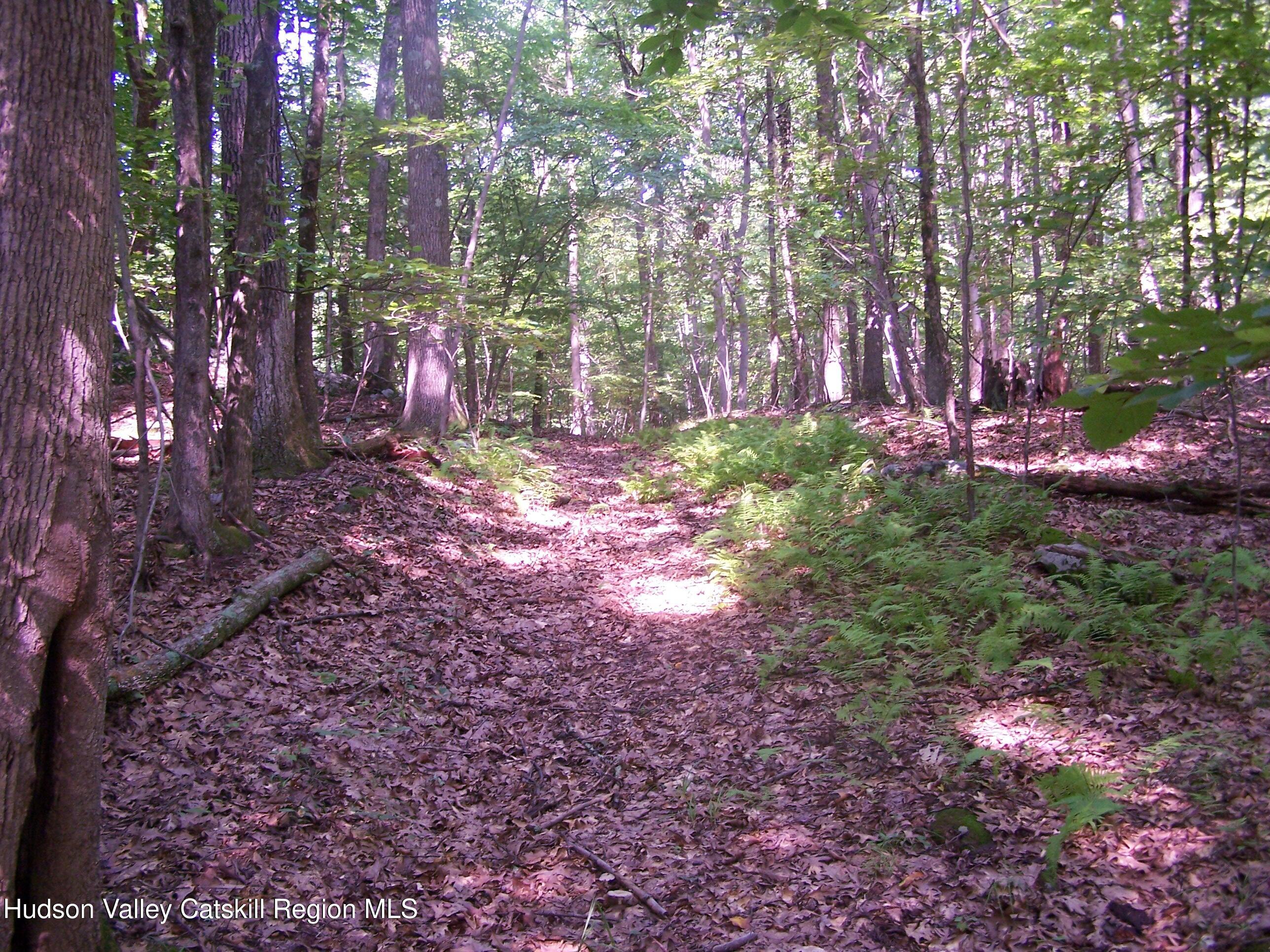 Tbd Bellevue Road Highland, NY 12528 - Photo 32 of 35 b6
