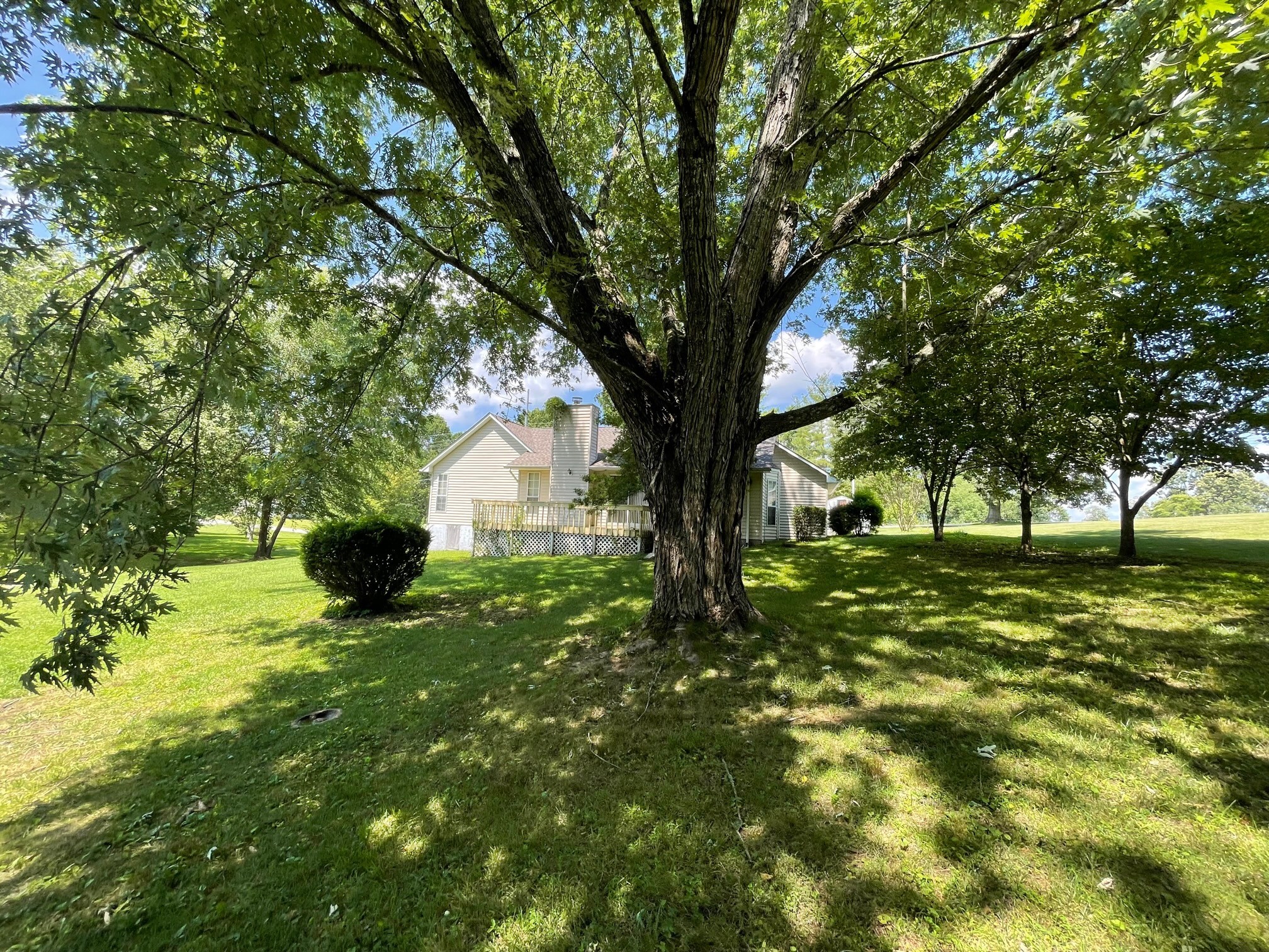 940 Pigeon Ridge Road Crossville, TN 38572 - Photo 8 of 26 Gallery Image 8
