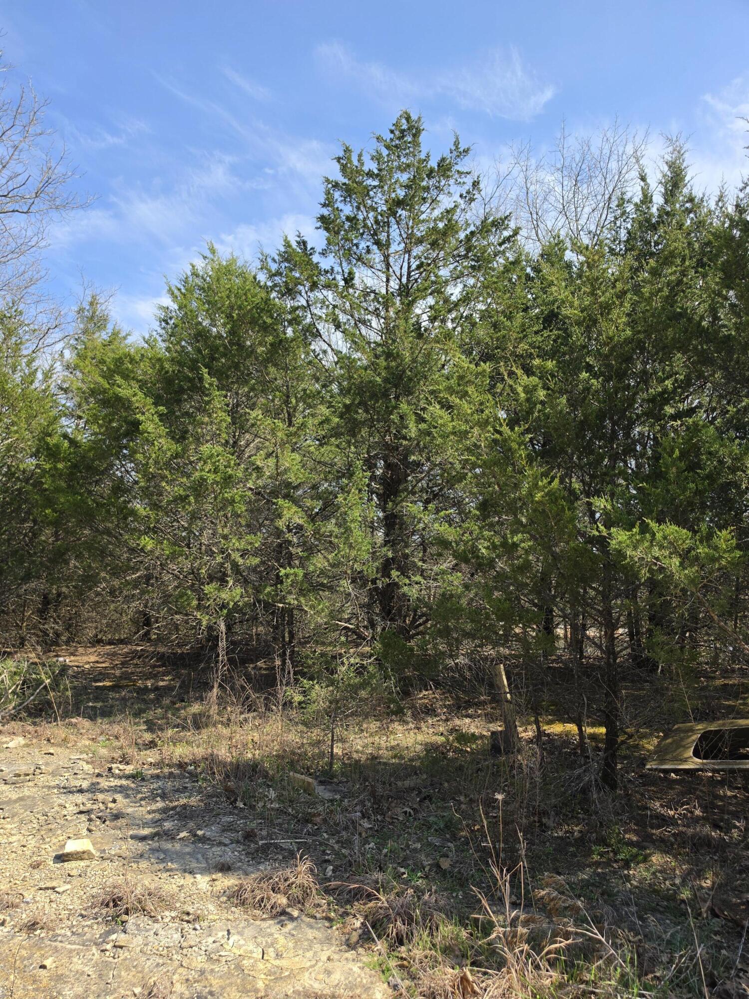 0 Beeler Road Branson, MO 65616 - Photo 6 of 16 20260329_150500