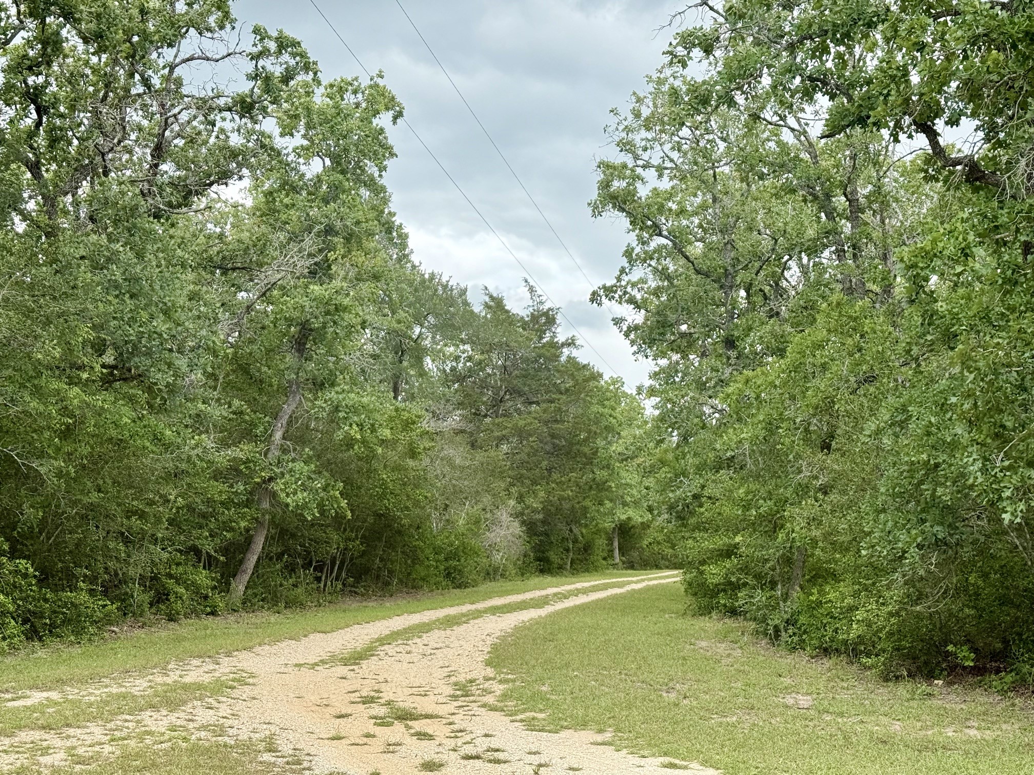 6811 Mockingbird Road Flatonia, TX 78941 - Photo 28 of 32