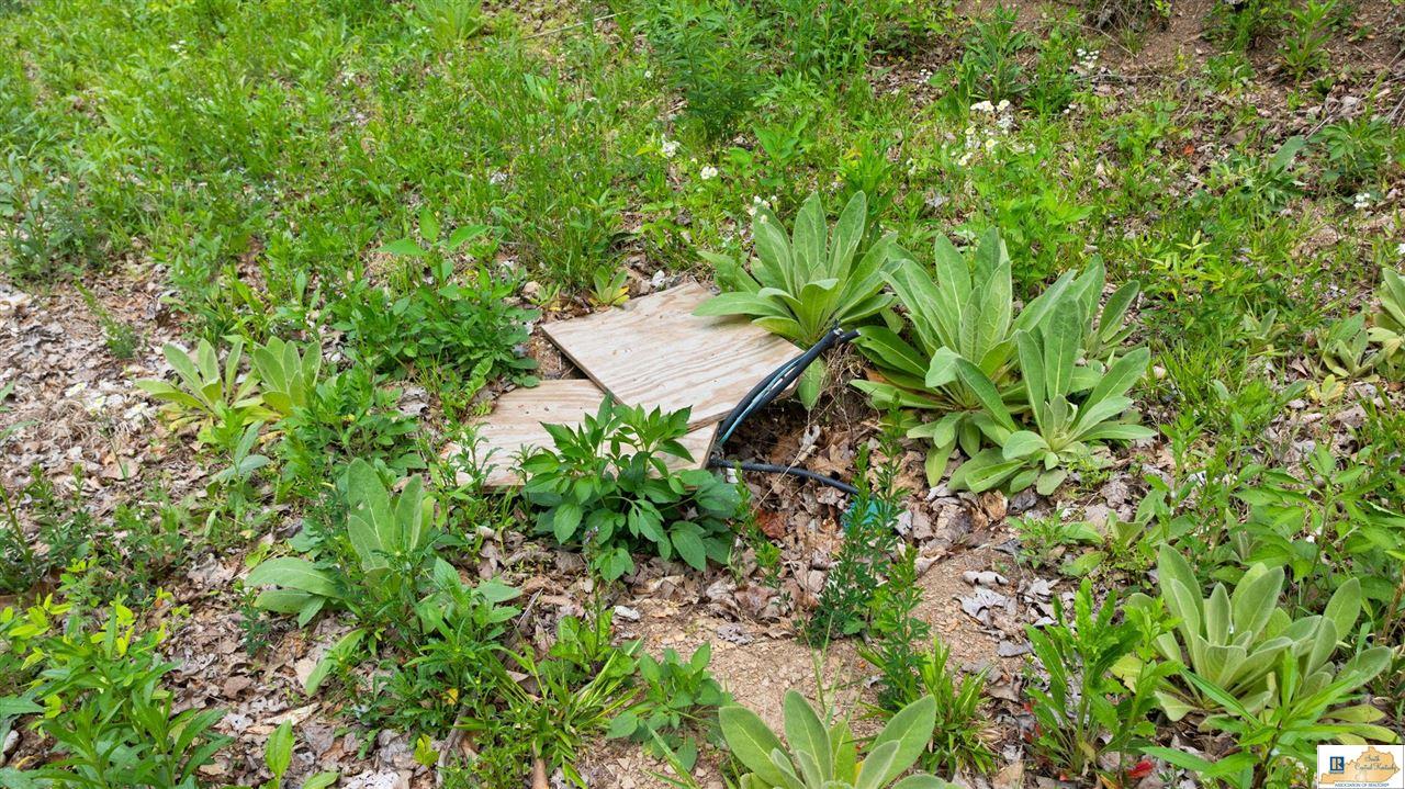 110 Crocus View Road Glens Fork, KY 42741 - Photo 65 of 75 Gallery Image 65