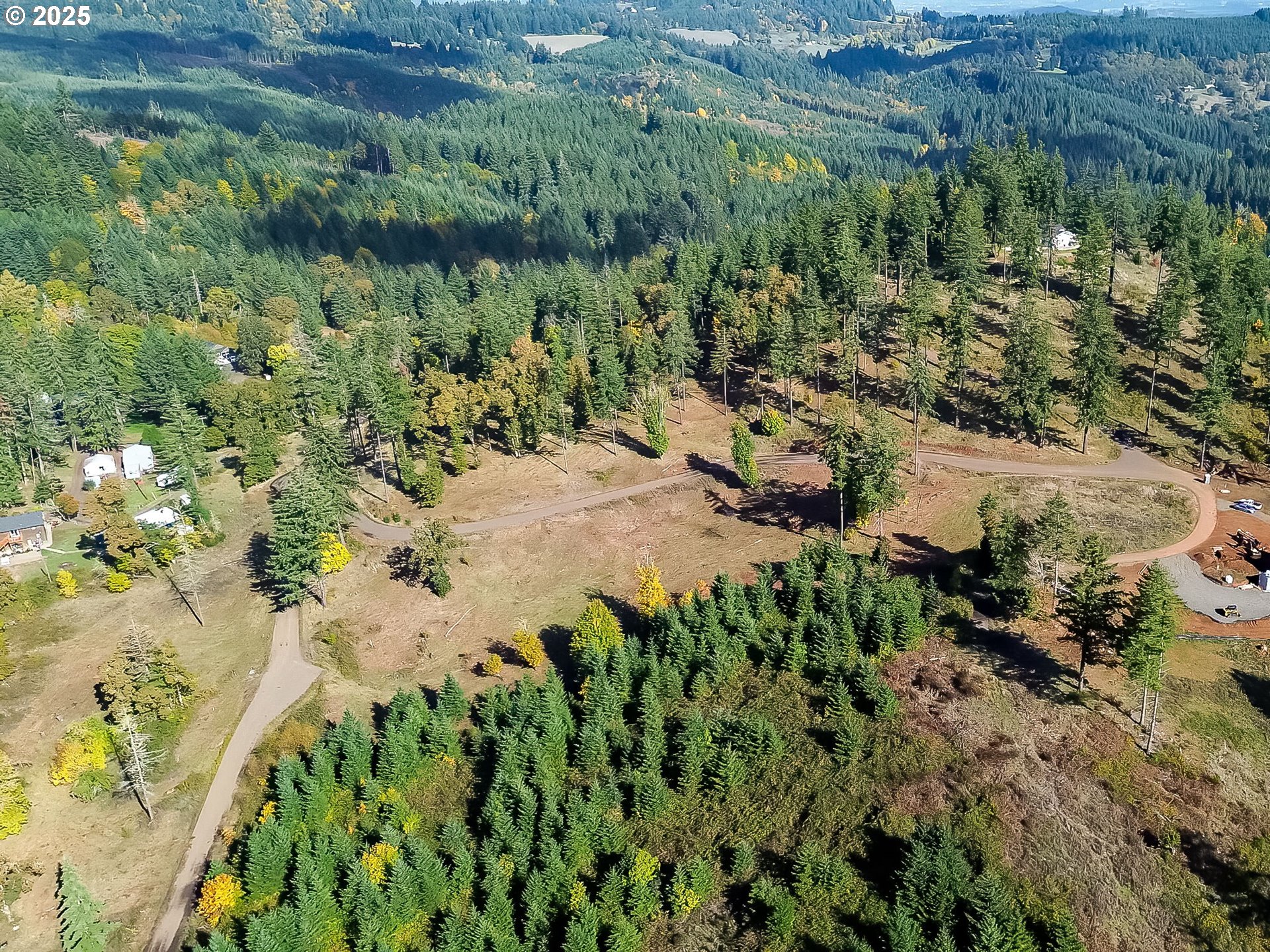 0 Northwest Orchard View Road, Unit 10 McMinnville, OR 97128 - Photo 5 of 7 a view of a yard with plants and large trees