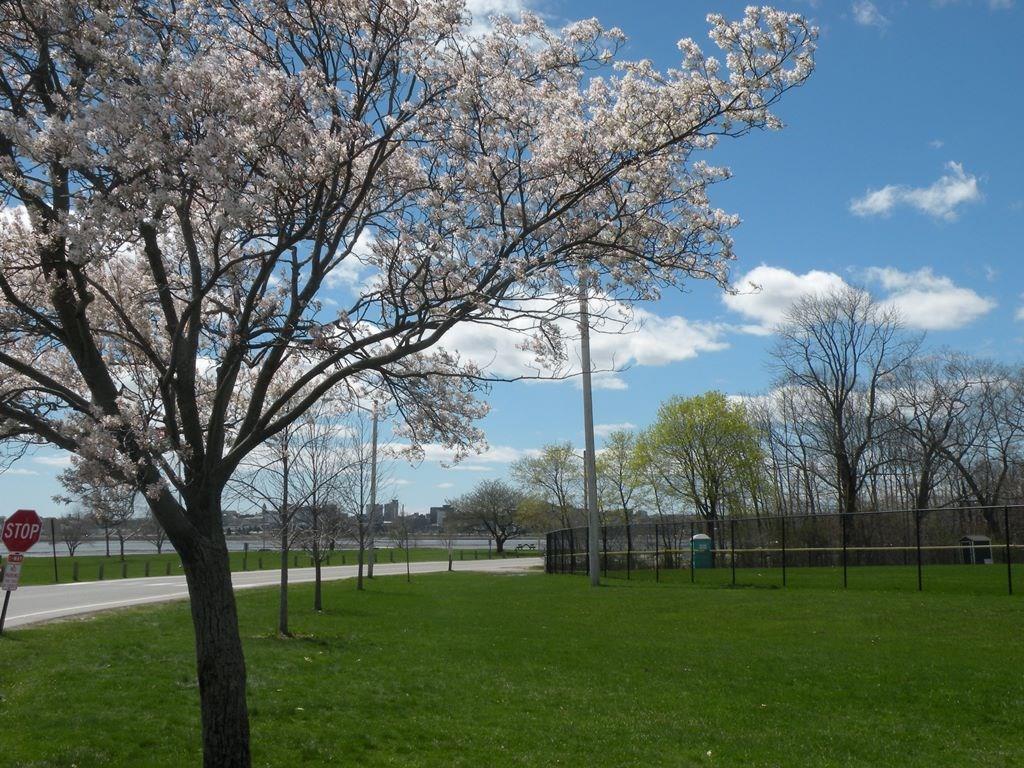 36 Rosedale Street Portland, ME 04103 - Photo 19 of 22 Payson Park and City Views