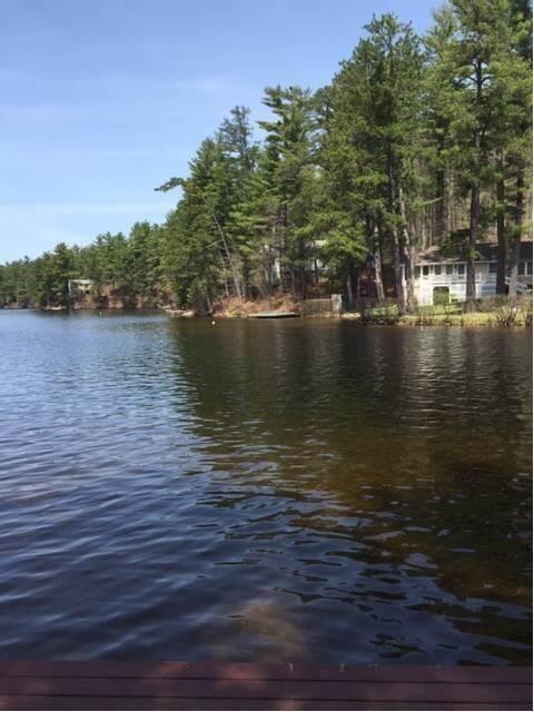 31 Shepard's Island Road West Newfield, ME 04095 - Photo 5 of 26 a5