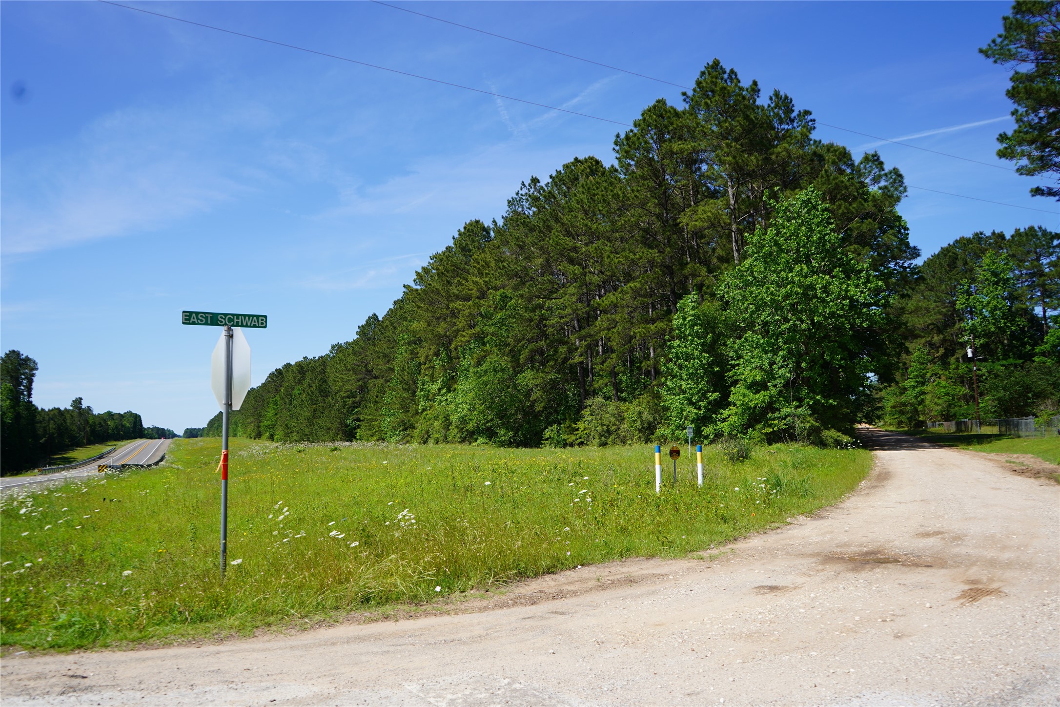1 East Tbd Schwab Road Livingston, TX 77351 - Photo 1 of 6 SH146 @ E. Schwab Rd.