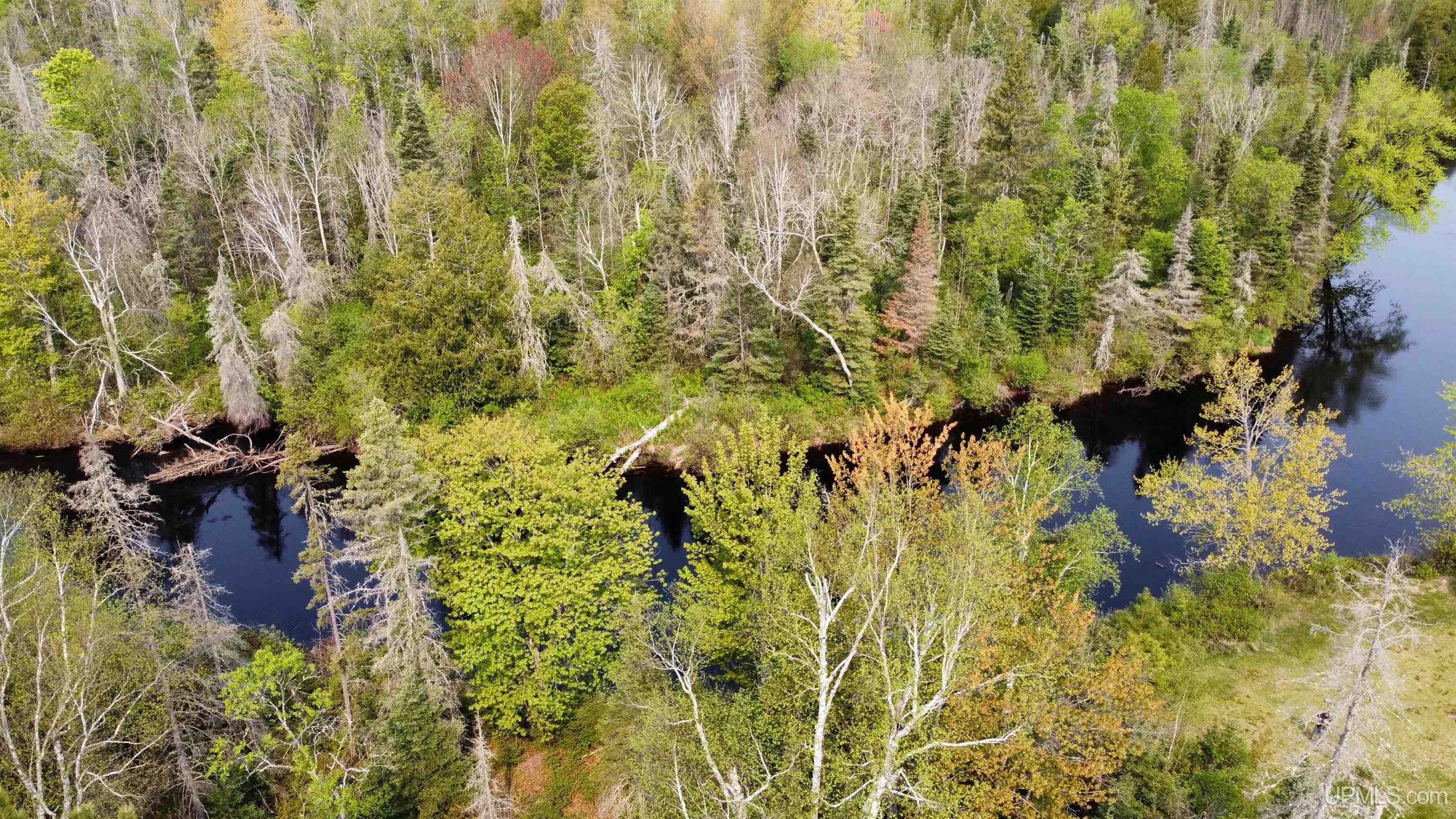 3515 Bent Birch Road Ishpeming, MI 49849 - Photo 5 of 17