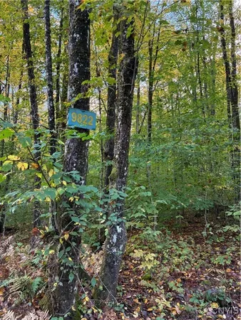 $57,000 | 9822 Dunn Brook Road, Remsen, NY 13438