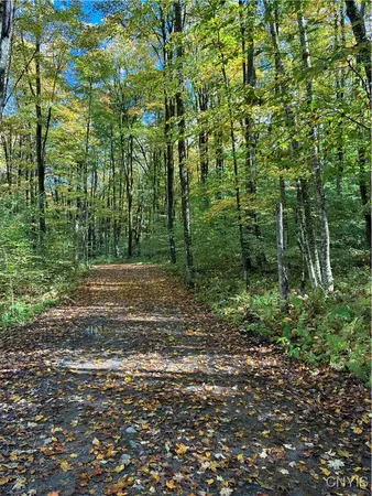 $49,900 | 9822 Dunn Brook Road, Remsen, NY 13438