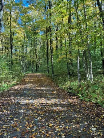 $57,000 | 9822 Dunn Brook Road, Remsen, NY 13438