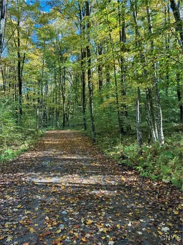 $57,000 | 9822 Dunn Brook Road, Remsen, NY 13438