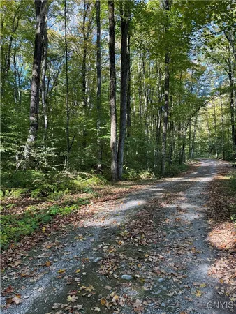 $49,900 | 9822 Dunn Brook Road, Remsen, NY 13438