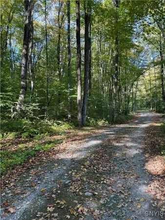 $57,000 | 9822 Dunn Brook Road, Remsen, NY 13438