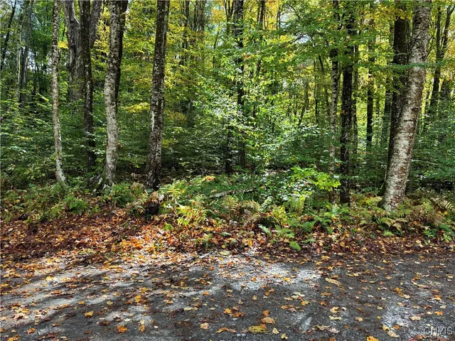 $57,000 | 9822 Dunn Brook Road, Remsen, NY 13438