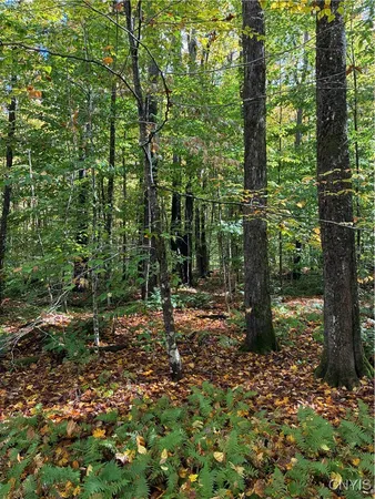 $49,900 | 9822 Dunn Brook Road, Remsen, NY 13438