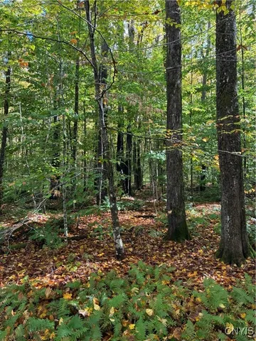 $57,000 | 9822 Dunn Brook Road, Remsen, NY 13438