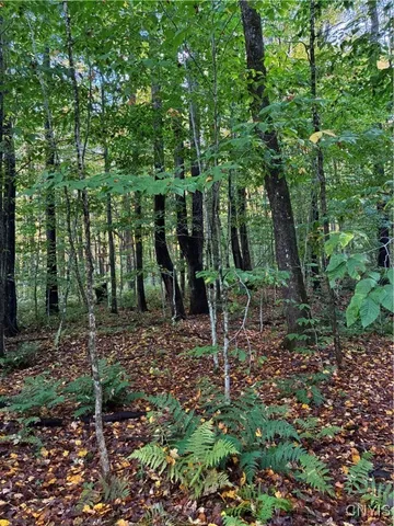 $57,000 | 9822 Dunn Brook Road, Remsen, NY 13438