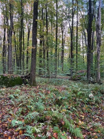 $57,000 | 9822 Dunn Brook Road, Remsen, NY 13438