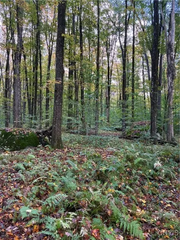 $57,000 | 9822 Dunn Brook Road, Remsen, NY 13438