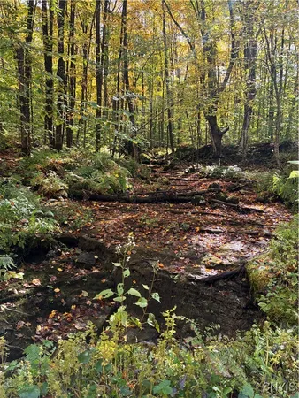 $49,900 | 9822 Dunn Brook Road, Remsen, NY 13438