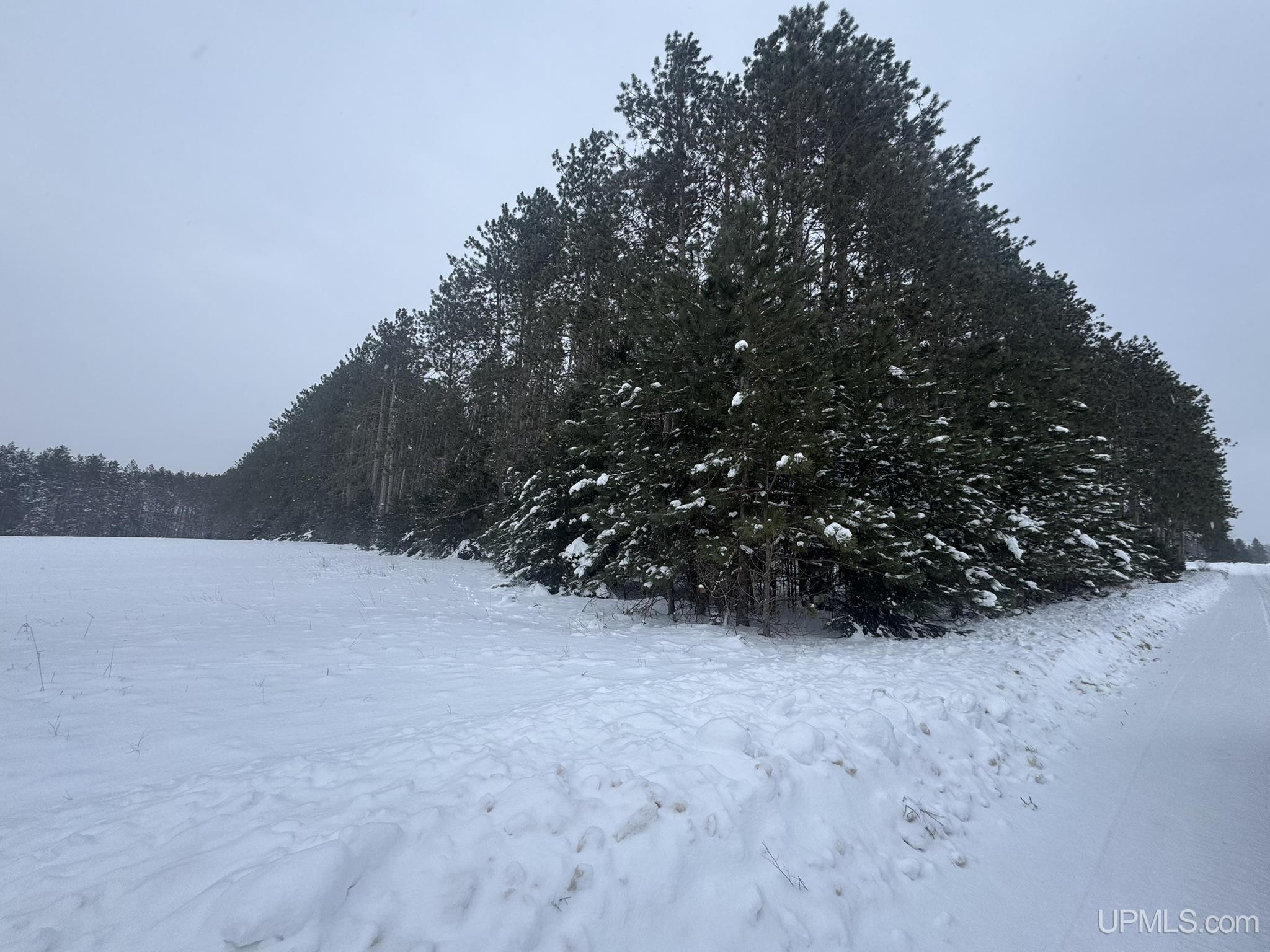 Tbd Treves Farm Road Norway, MI 49870 - Photo 3 of 4 Gallery Image 3