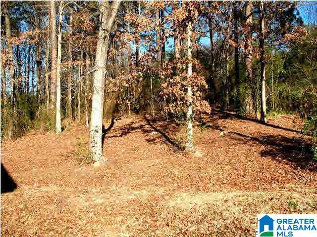 509 Hill Park Road Gardendale, AL 35071 - Photo 17 of 17