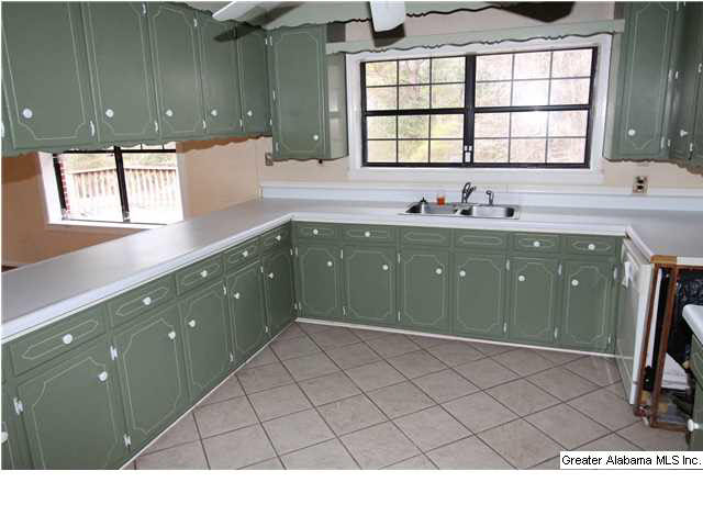 95 Wattsville Drive Ragland, AL 35131 - Photo 7 of 17