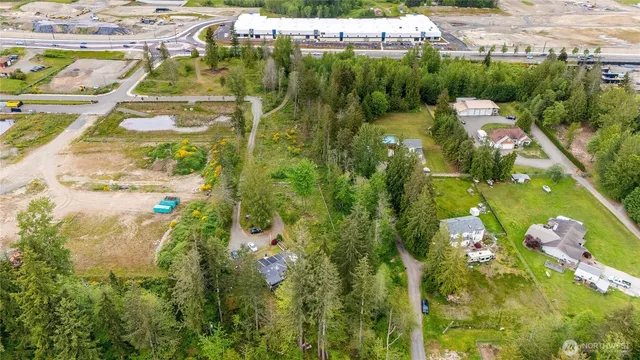 a view of a yard with plants