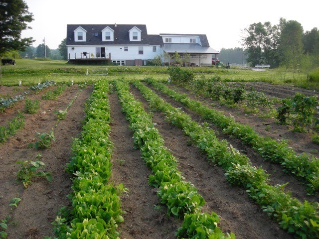 463 Delong Road Cornwall, VT 05753 - Photo 8 of 39