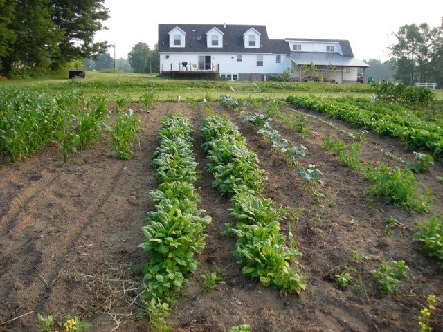 463 Delong Road Cornwall, VT 05753 - Photo 10 of 39