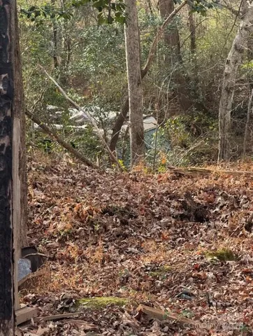 a view of a yard with trees