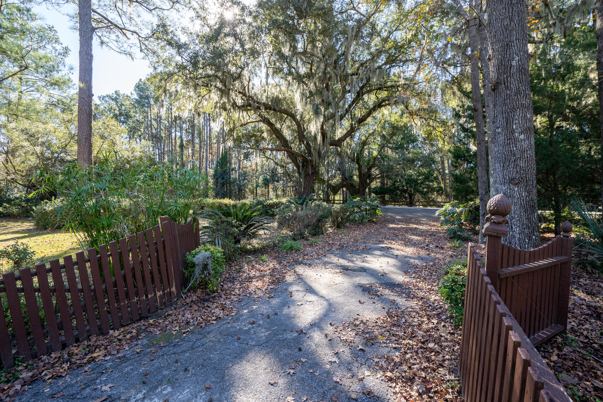 1065 River Road Johns Island, SC 29455 - Photo 14 of 49 Beautiful oak tree at property entrance