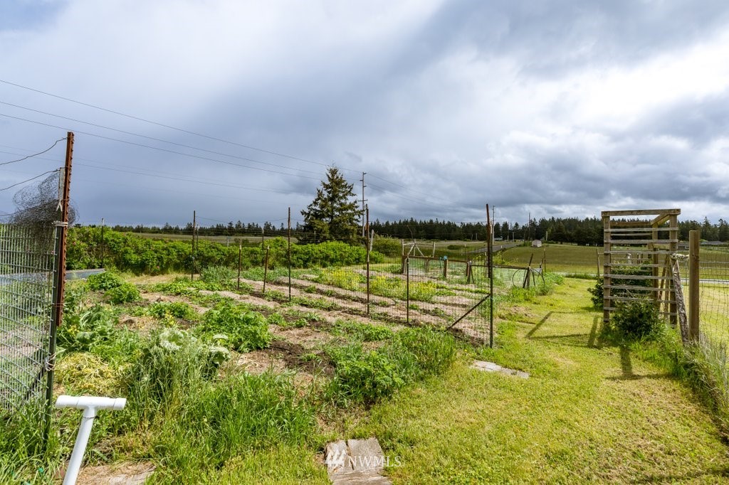 265 Morris Road Coupeville, WA 98239 - Photo 8 of 40 Gallery Image 8