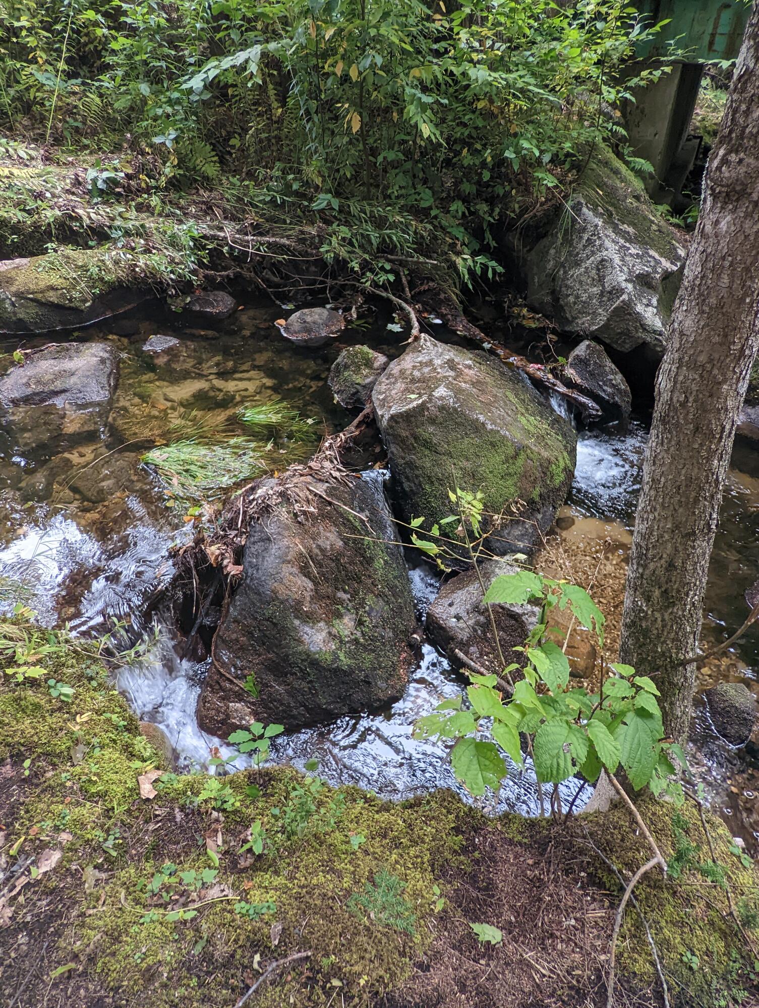 181 Shedd Road Norway, ME 04268 - Photo 13 of 22 Stream8