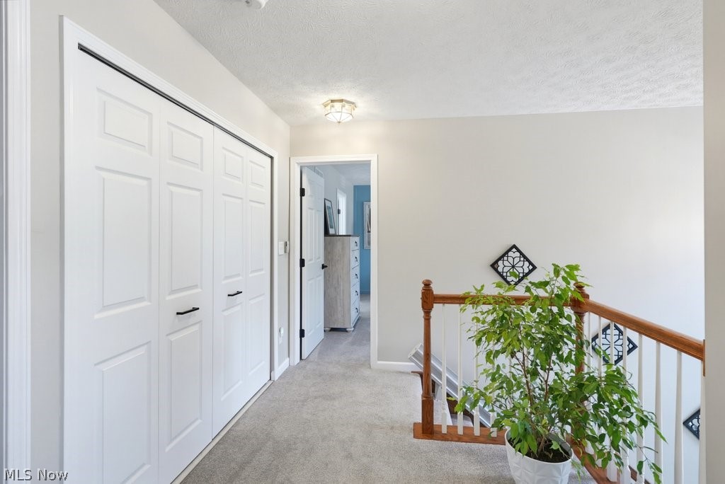 851 Susan Road Ravenna, OH 44266 - Photo 26 of 50 Light gray carpeting, white bi-fold doors with black hardware, white walls, and a wood handrail with white balusters
