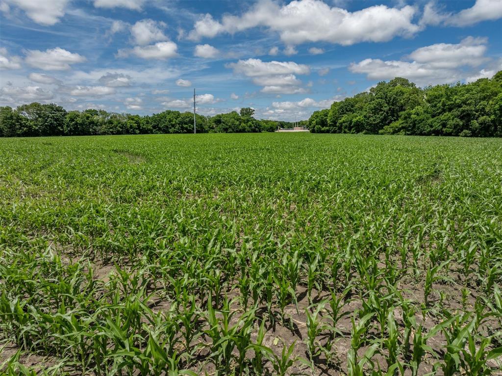 Tbd Cowan Road Celina, TX 75009 - Photo 25 of 31 a view of a big yard with plants and a large tree