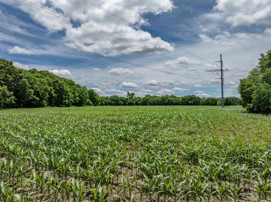 Tbd Cowan Road Celina, TX 75009 - Photo 28 of 31 a view of a garden with a bench
