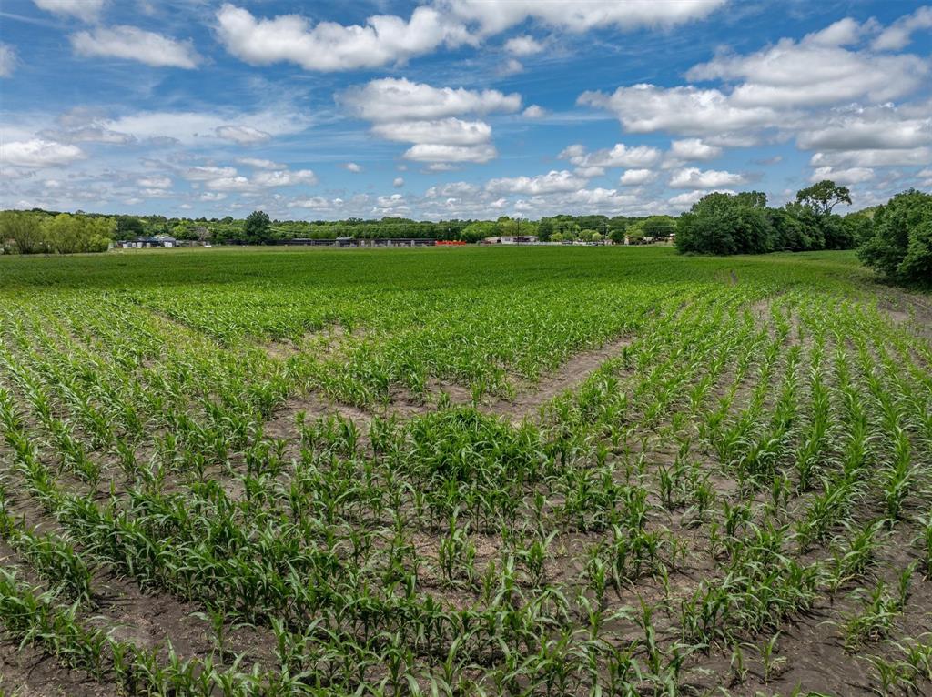 Tbd Cowan Road Celina, TX 75009 - Photo 29 of 31 a view of a big yard with lots of green space