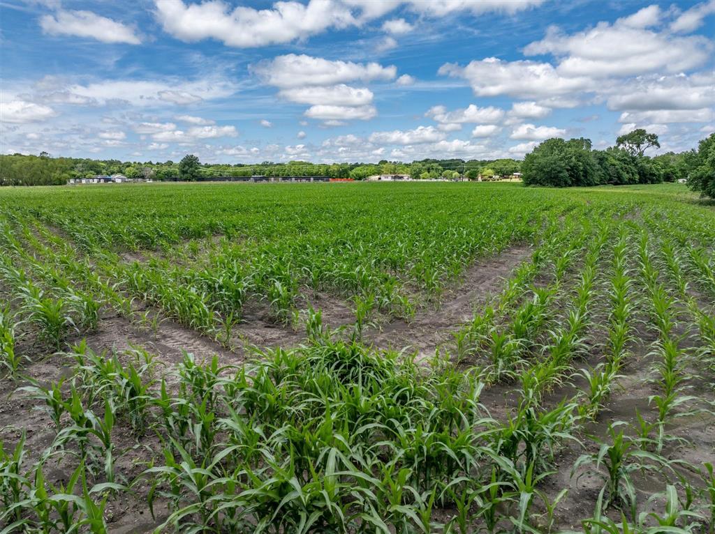 Tbd Cowan Road Celina, TX 75009 - Photo 30 of 31 a view of a big yard with plants and a large tree